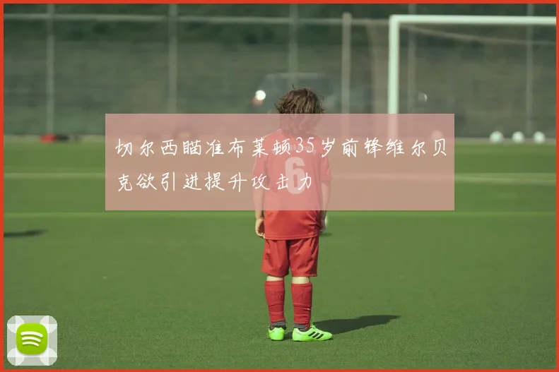 切尔西瞄准布莱顿35岁前锋维尔贝克欲引进提升攻击力